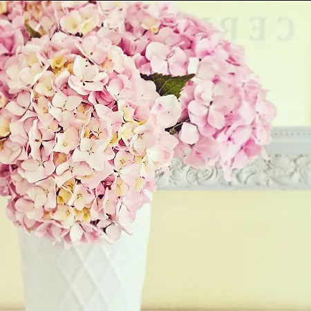 Cervantes Hotel Sanxenxo