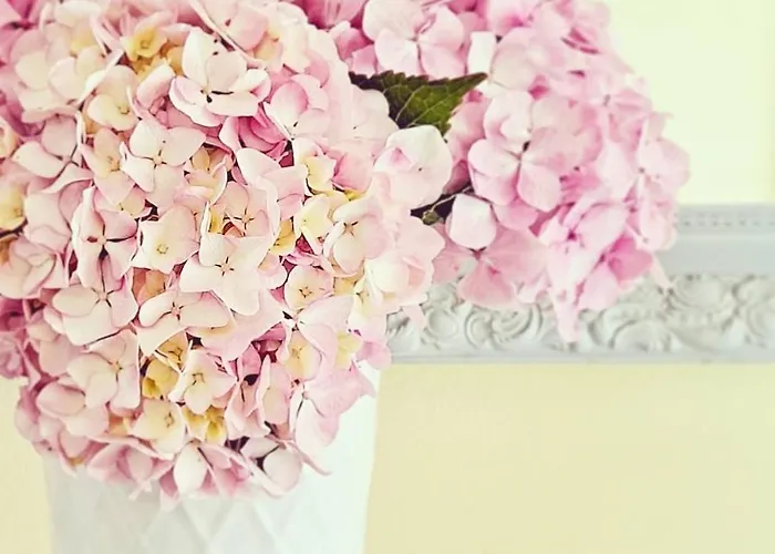 Cervantes Ξενοδοχείο Sanxenxo